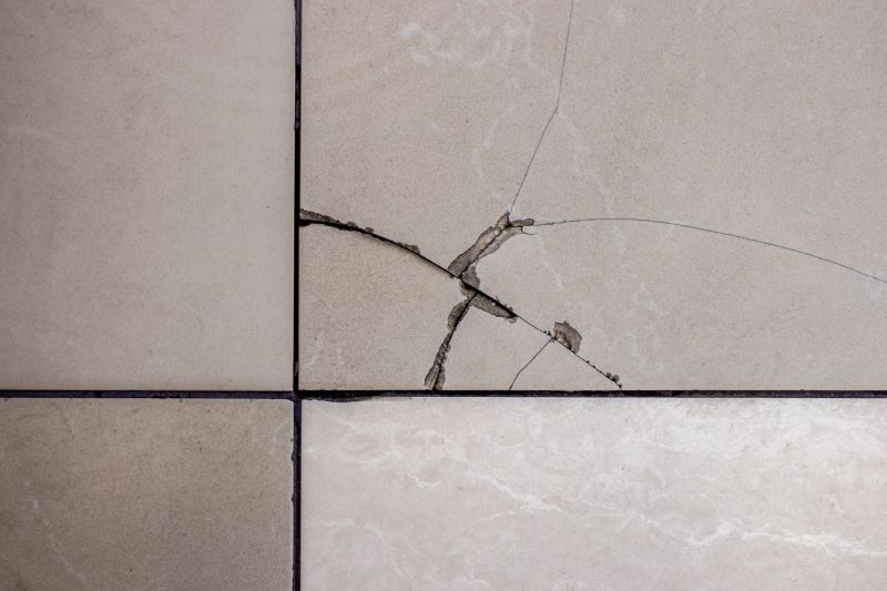 Cracked Tile Repair detail